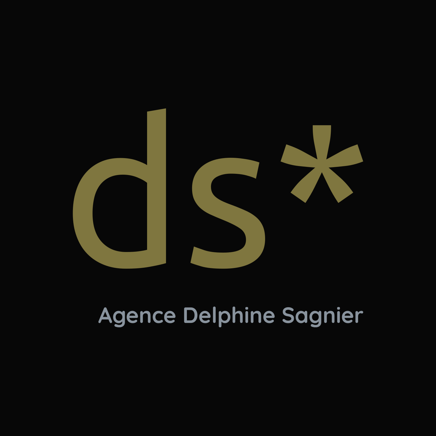 Logo Agence Delphine Sagnier
