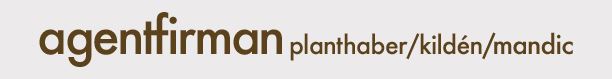 Logo Agentfirman